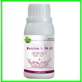 Insecticide source botanique sophocarpidine